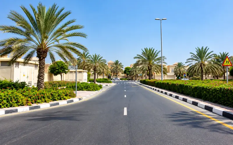 Oud Al Muteena Dubai residential area with palm-lined roads, landscaped greenery, villas, and clean streets for daily life.