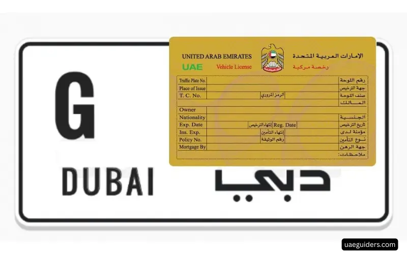 Vehicle licensing and registration