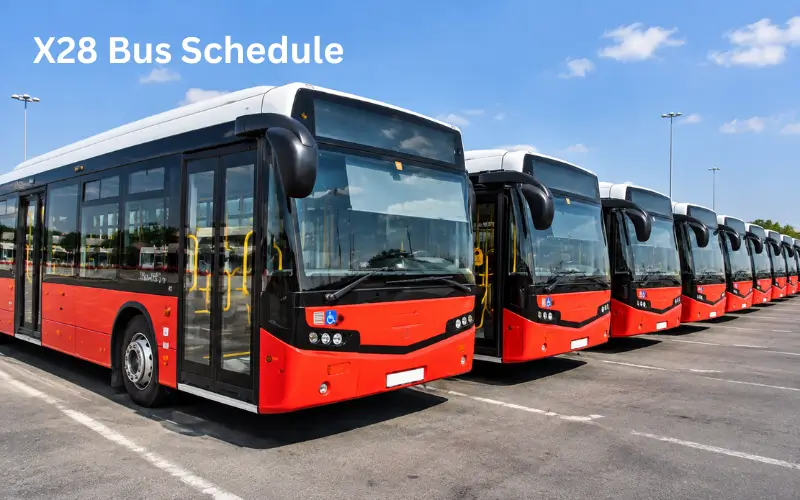 X28 Bus Schedule: Timings, Route, Stops and Fare X28 Bus Schedule
